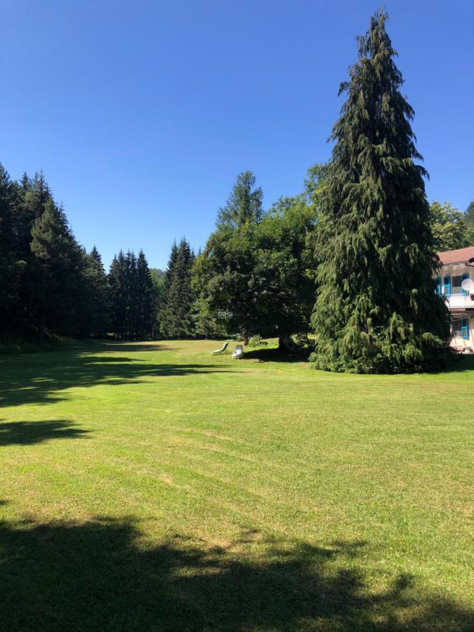 Agriturismo La Casa Nel Bosco Boveglio Eksteriør bilde