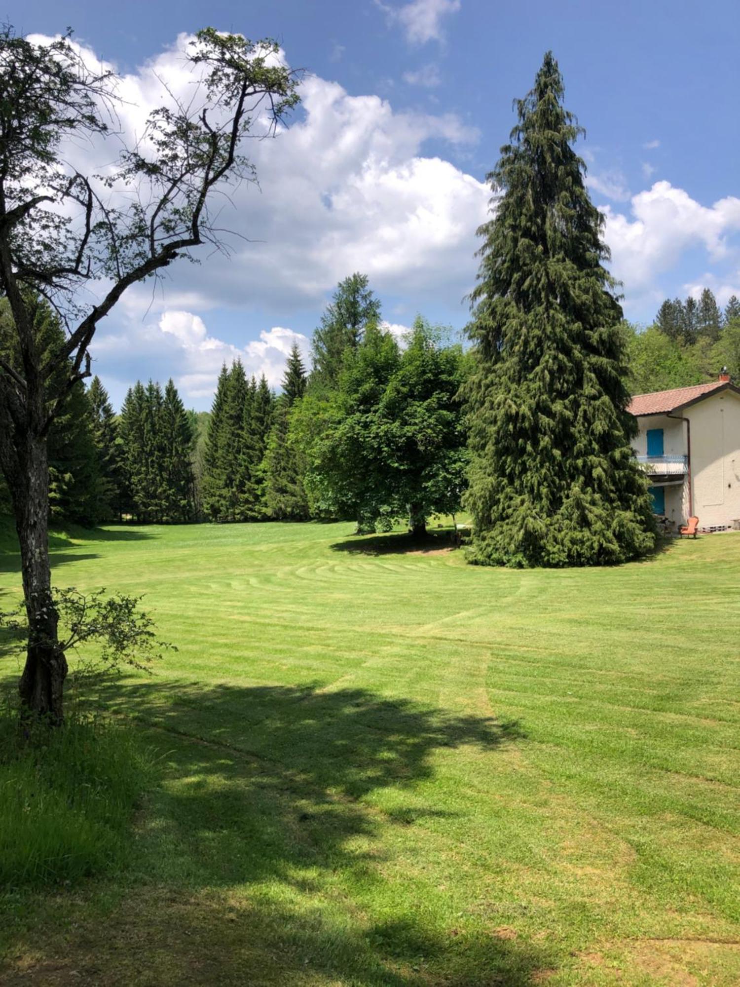 Agriturismo La Casa Nel Bosco Boveglio Eksteriør bilde