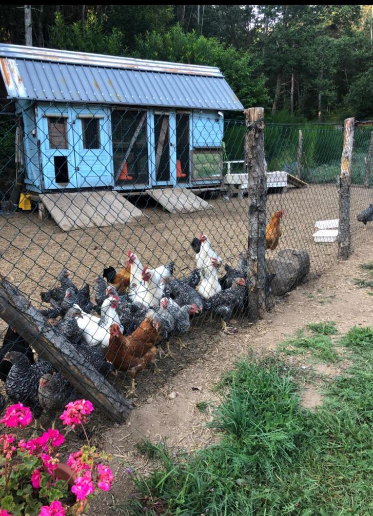 Agriturismo La Casa Nel Bosco Boveglio Eksteriør bilde