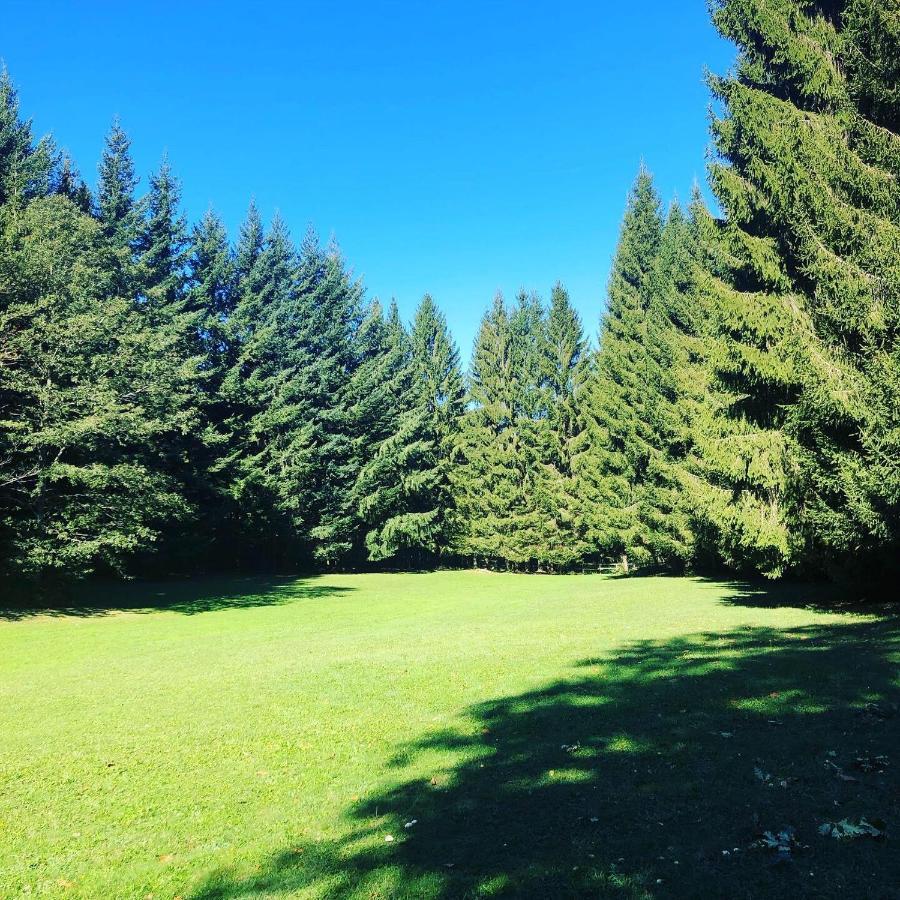 Agriturismo La Casa Nel Bosco Boveglio Eksteriør bilde